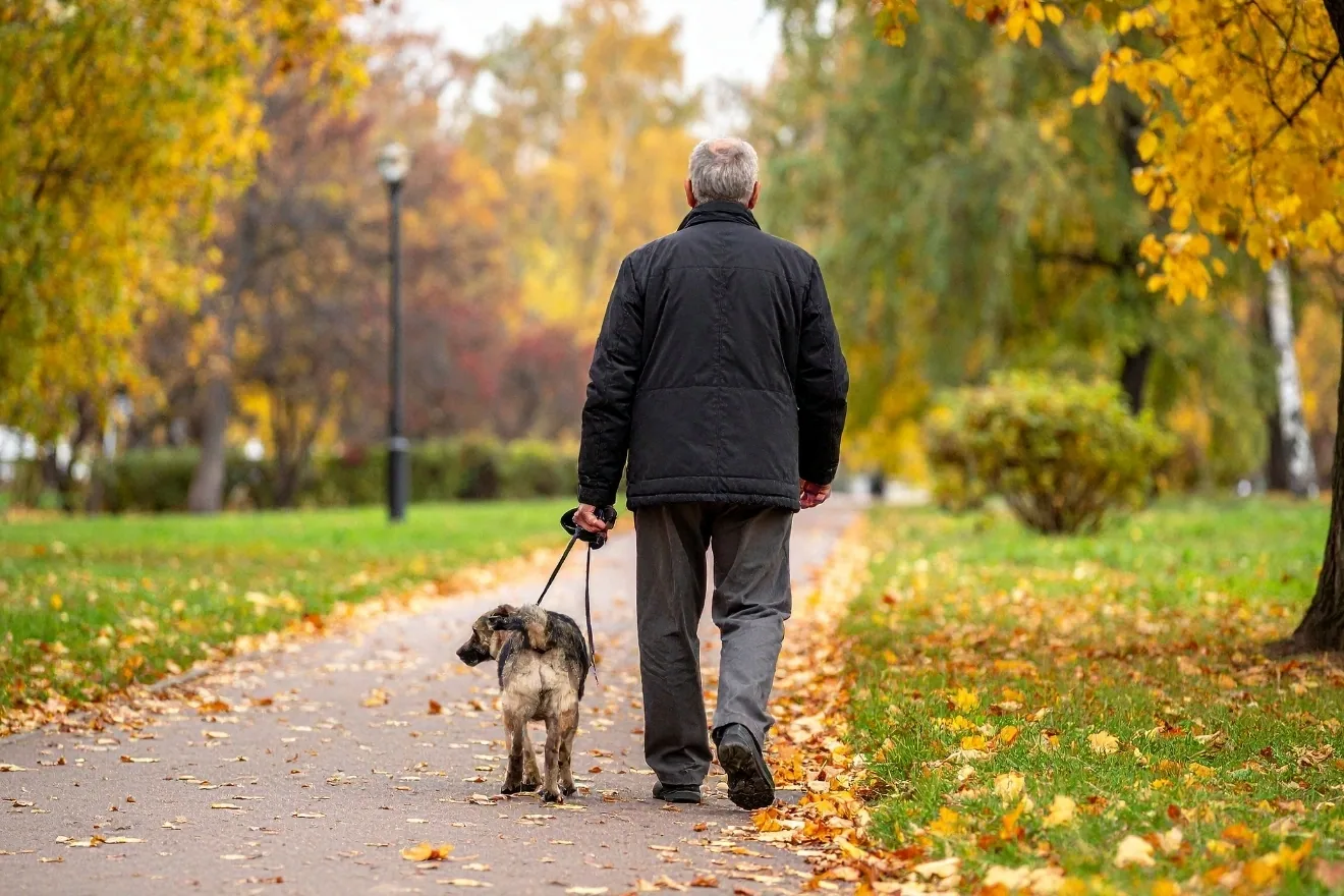 How to Ease Back Into Walking After a Sedentary Winter