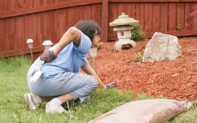 Gardening Smarter: 5 Physical Therapy Tips for Pain-Free Summer Gardening